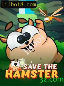 Tudo que Você Precisa Saber Sobre o Jogo SavetheHamster